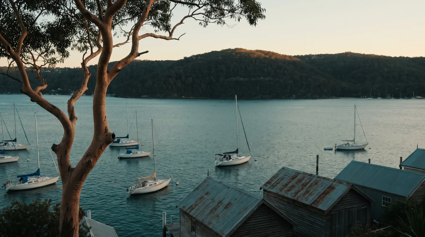 Dusk over Pittwater from the Palm Beach hillside, boatsheds and moored boats below