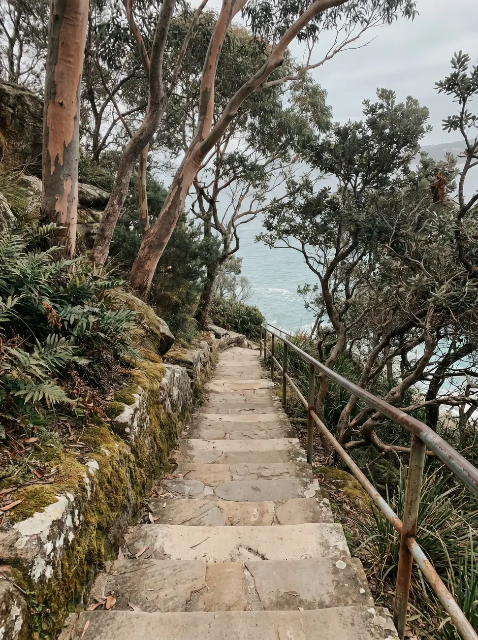 A long sandstone stair run descending through coastal bush toward the sea